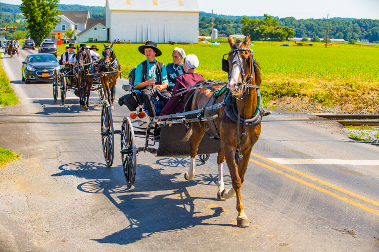 Amish Money Lessons