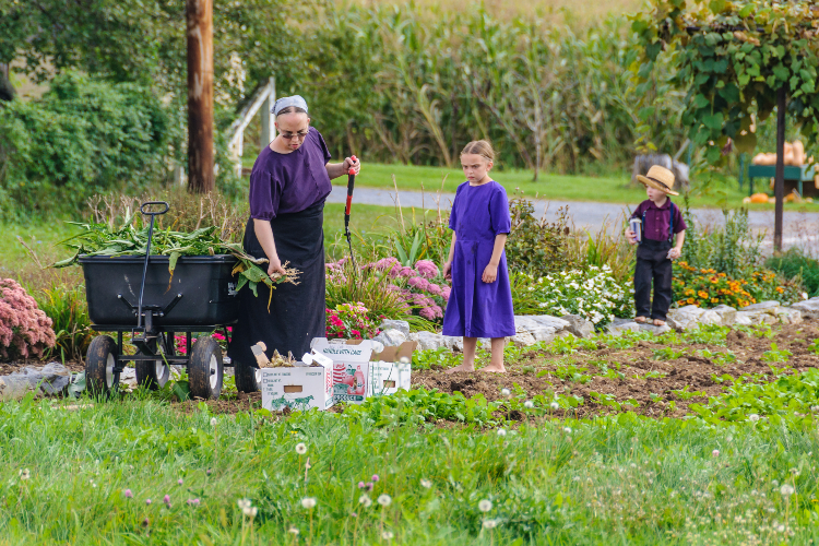 Amish Life Lessons