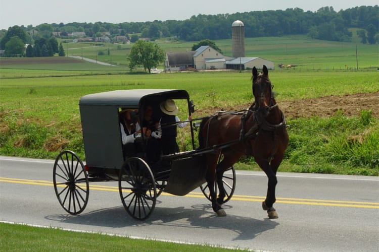 Amish Money Lessons