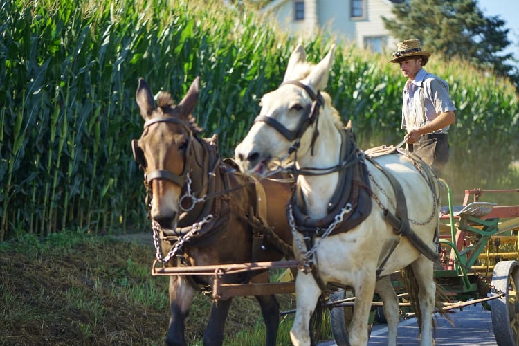 Amish Life Lessons