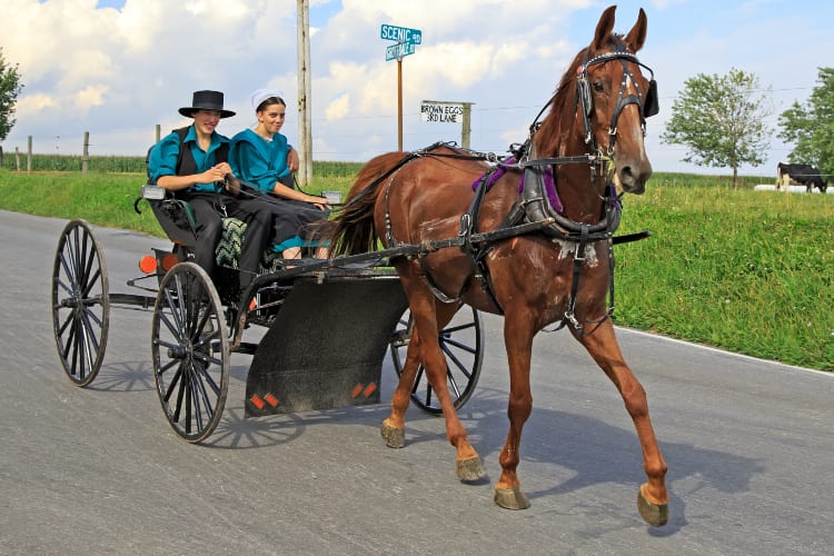 Amish Life Lessons