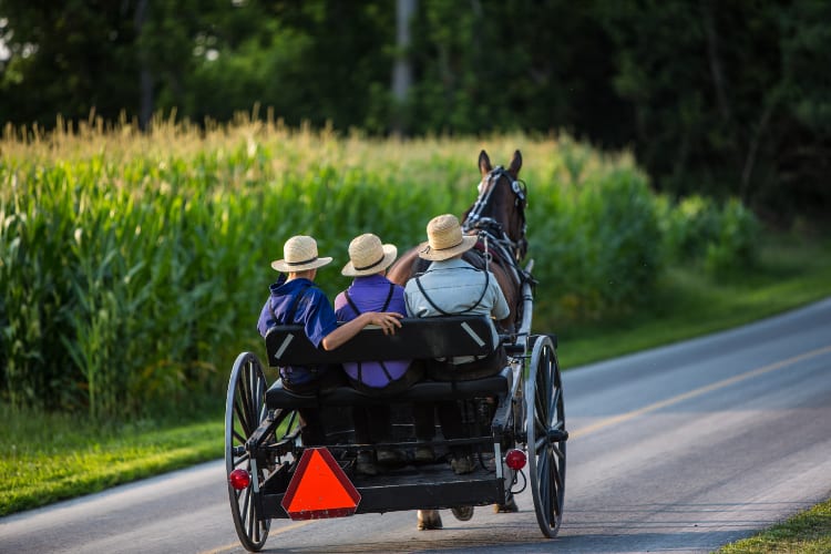 Amish Life Lessons